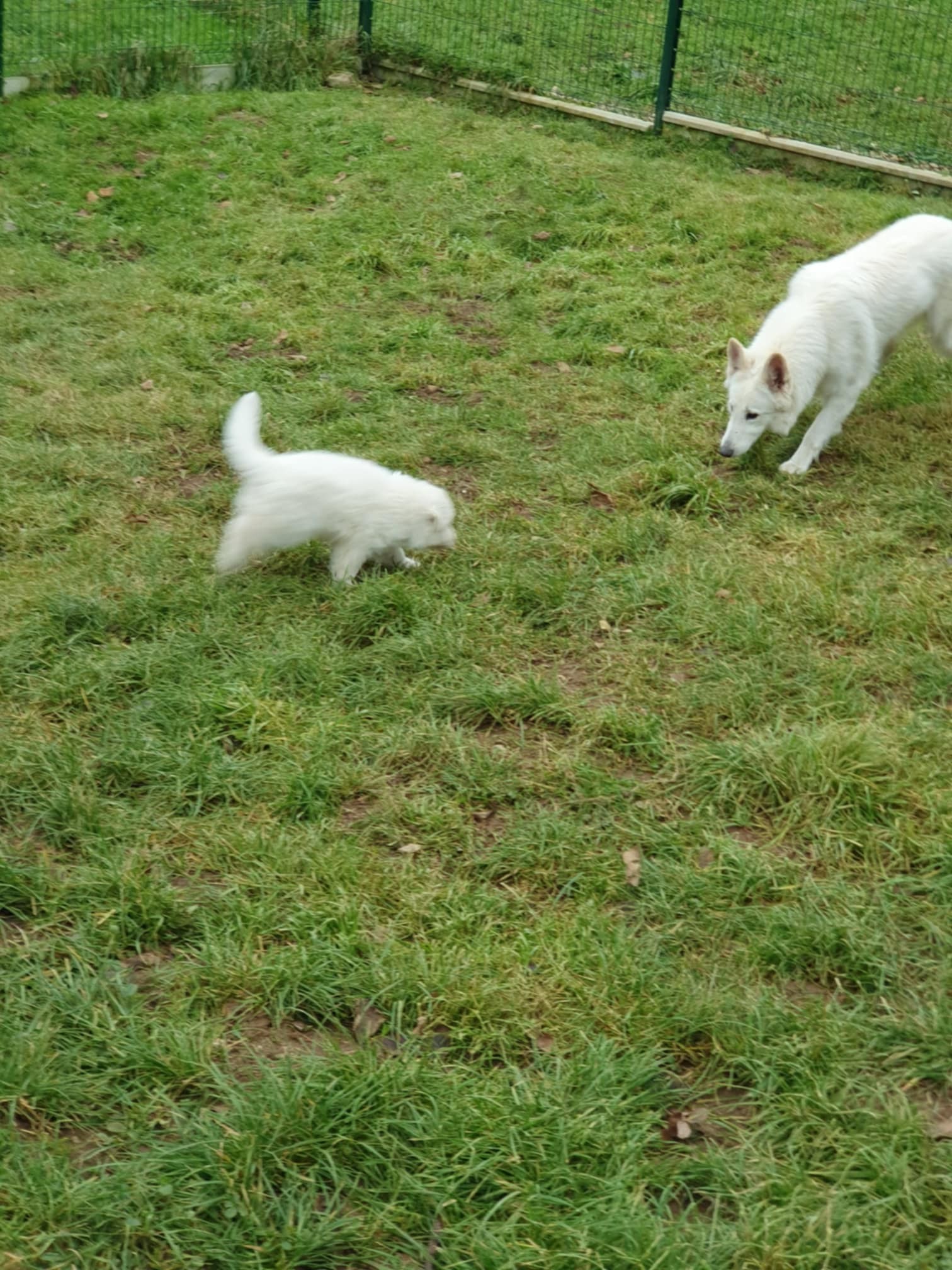 avec maman !