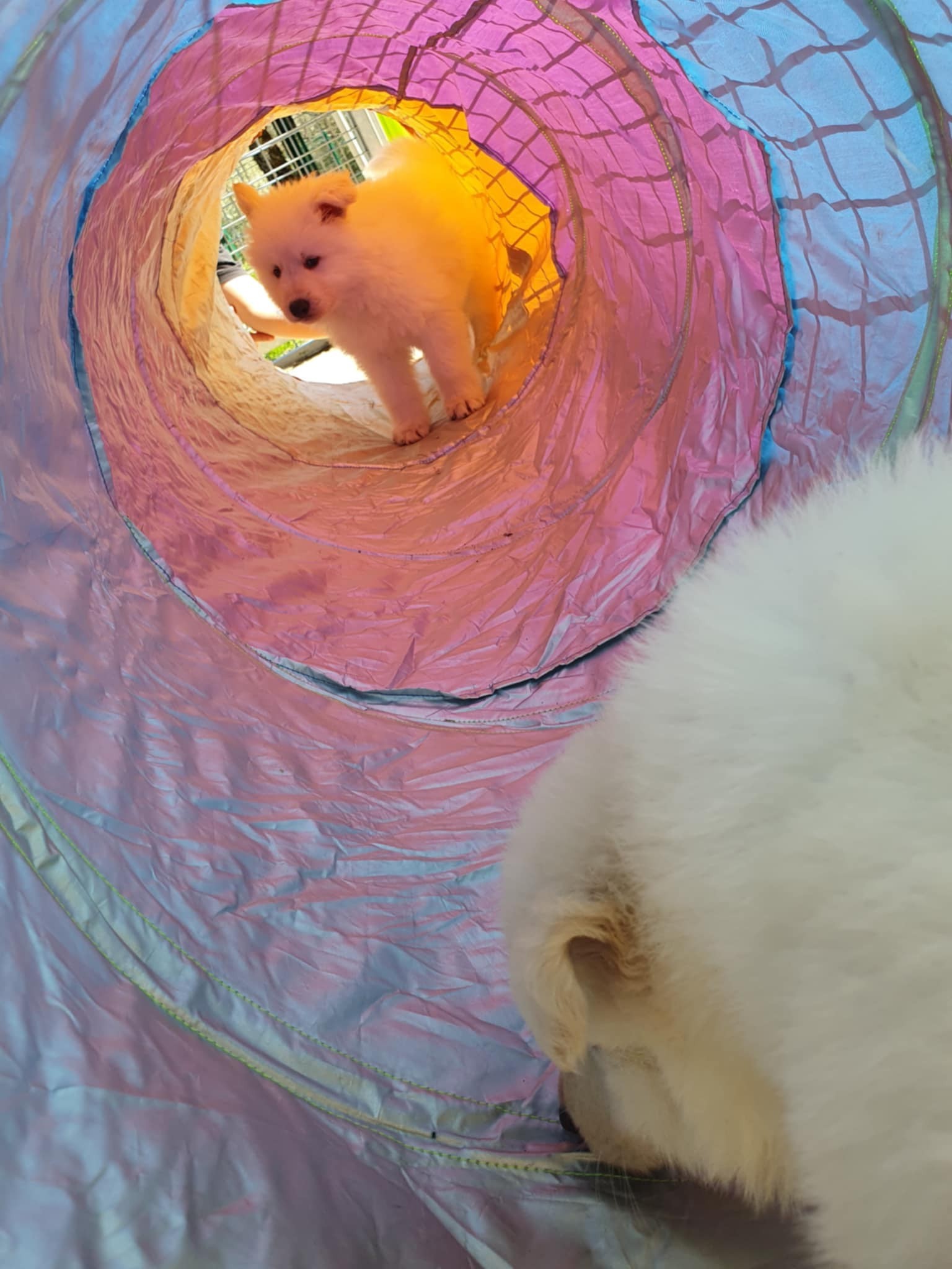 au tunnel