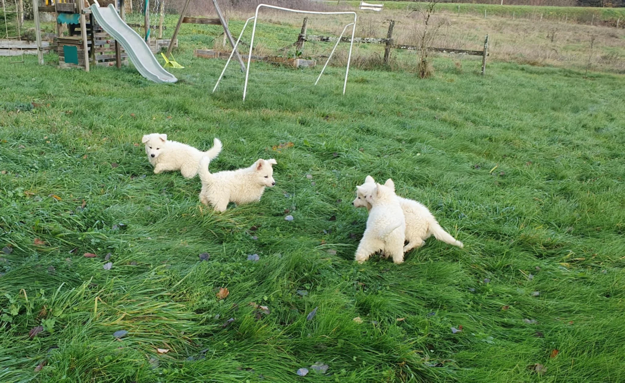 découverte d'un nouveau coin encore inconnu 