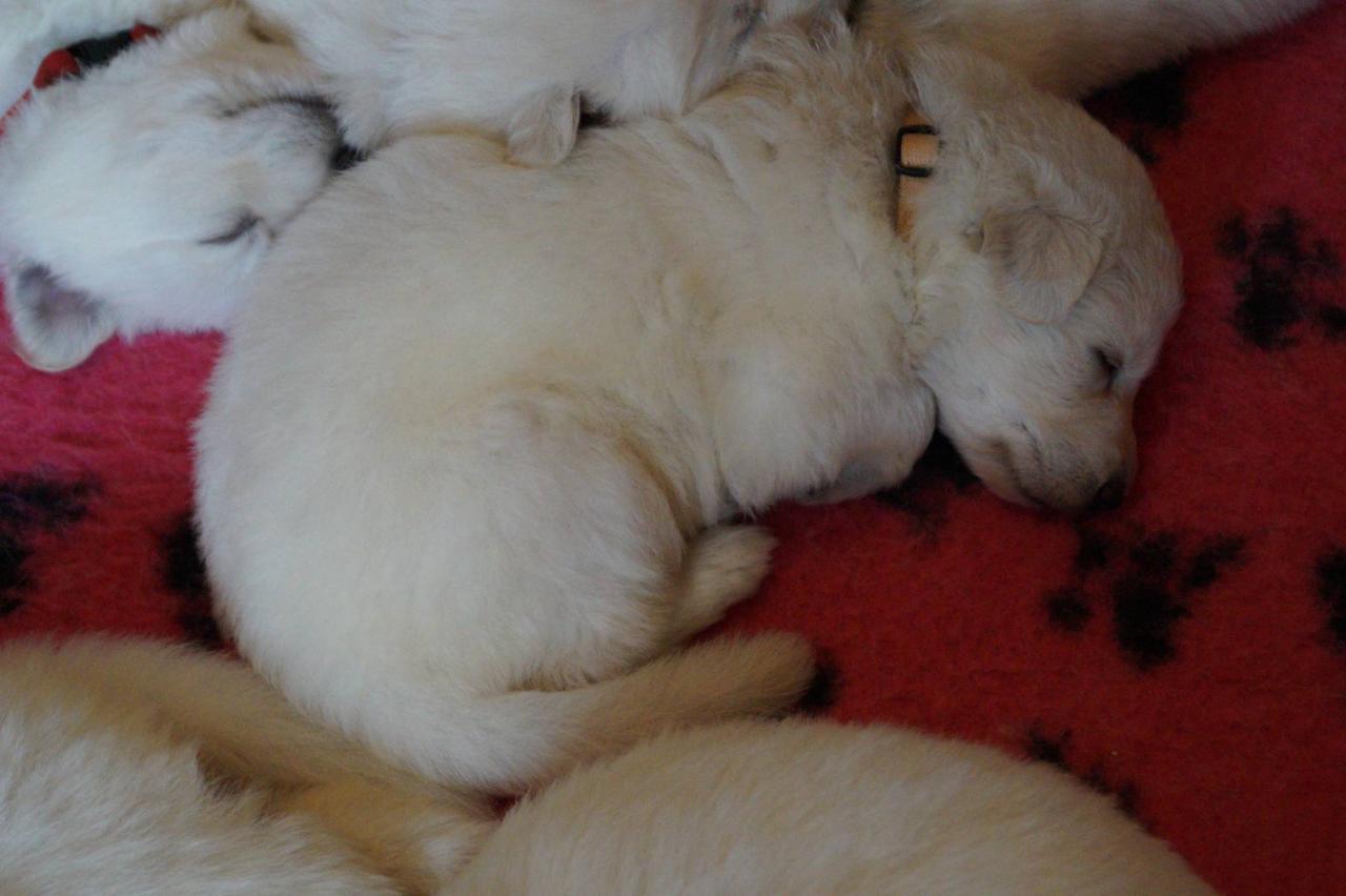 1 mois 