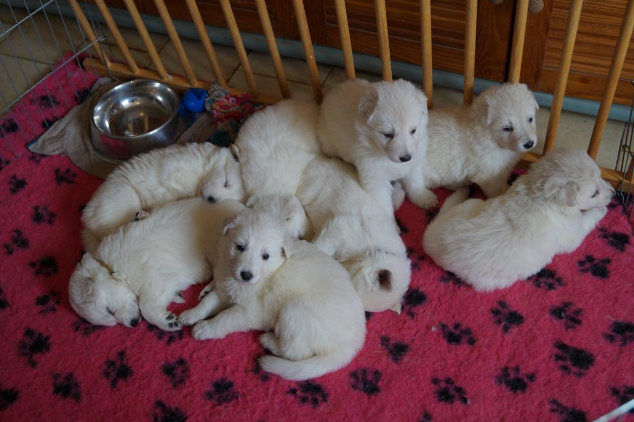 1 mois 