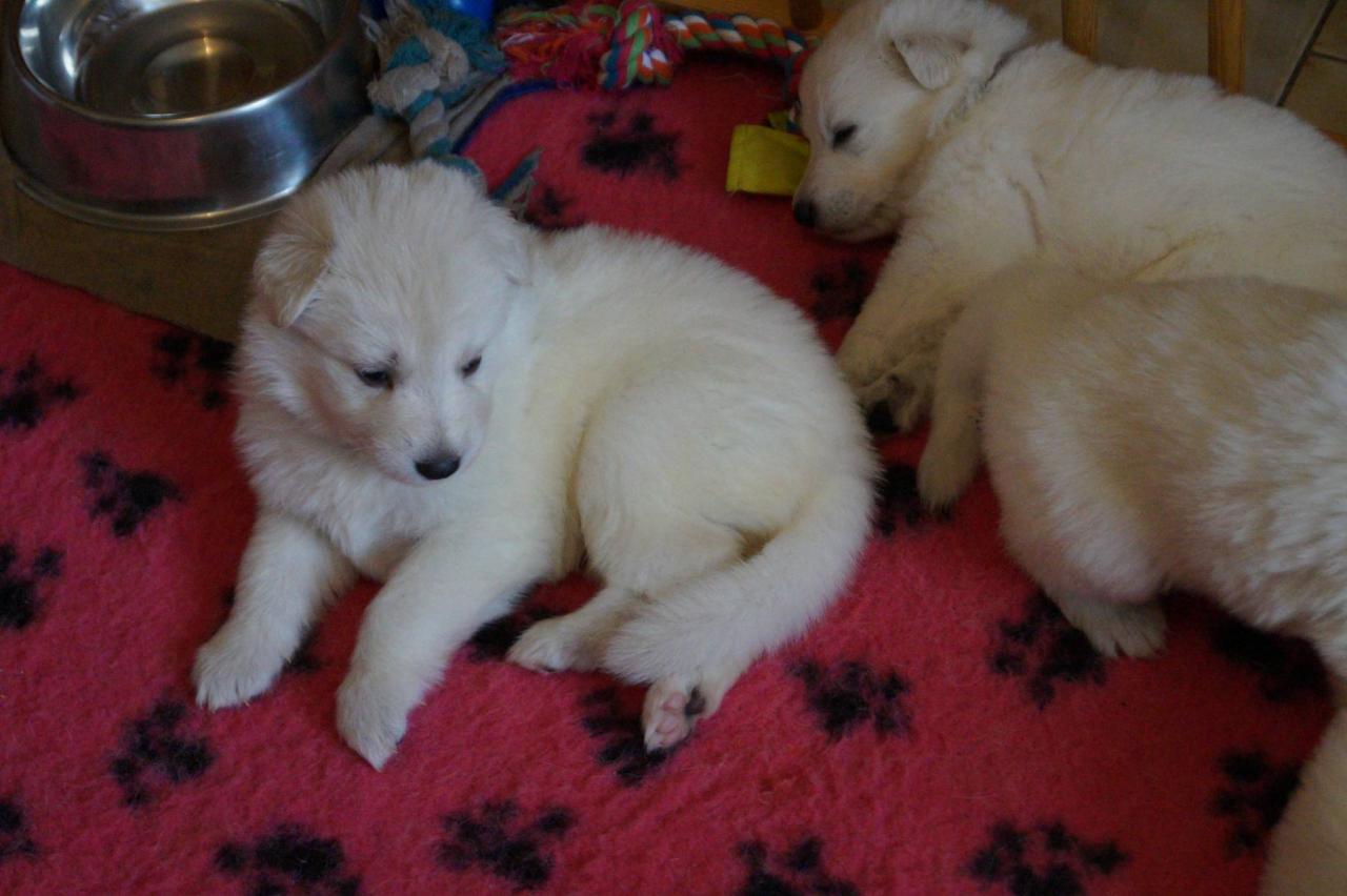 1 mois 