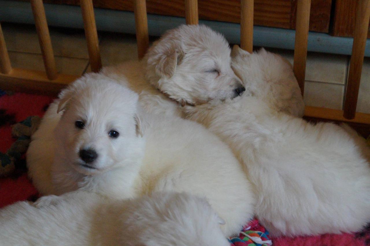 1 mois