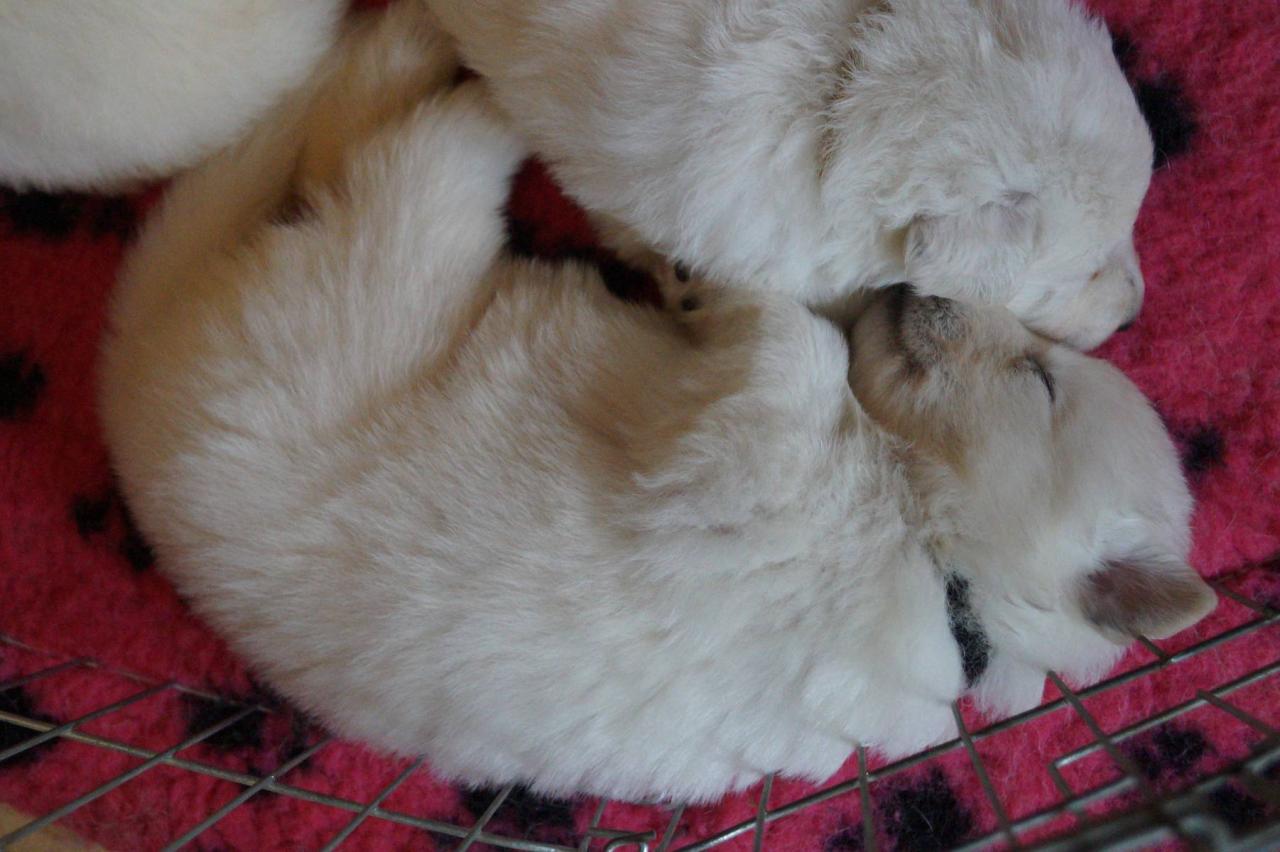 1 mois 