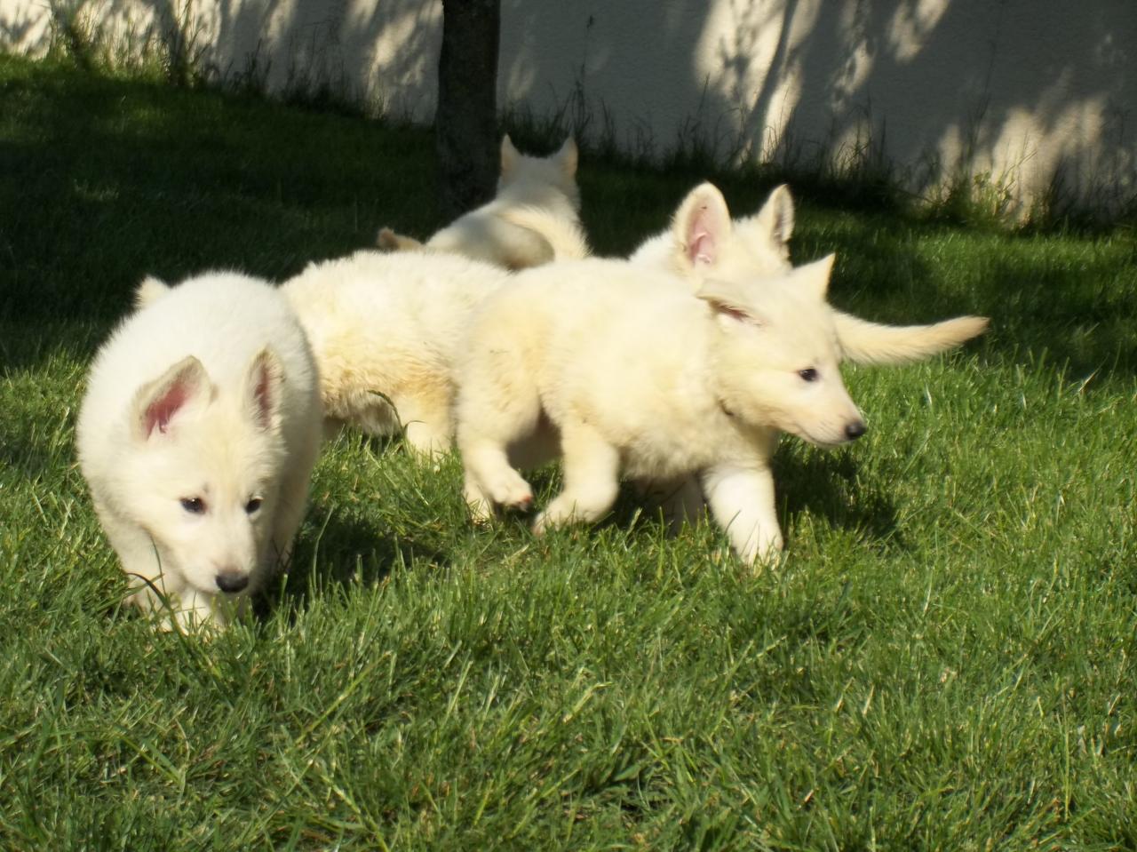 on s'amuse bien dans le jardin