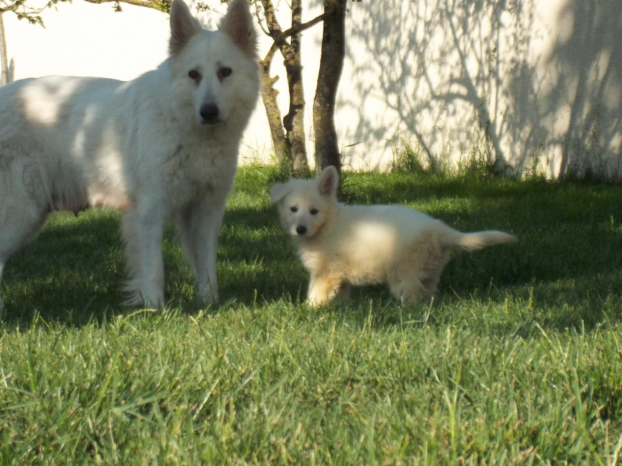 avec maman