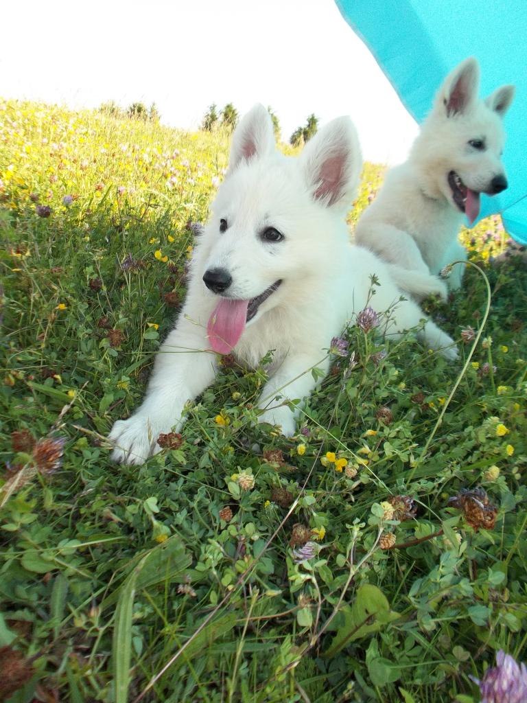 <3
