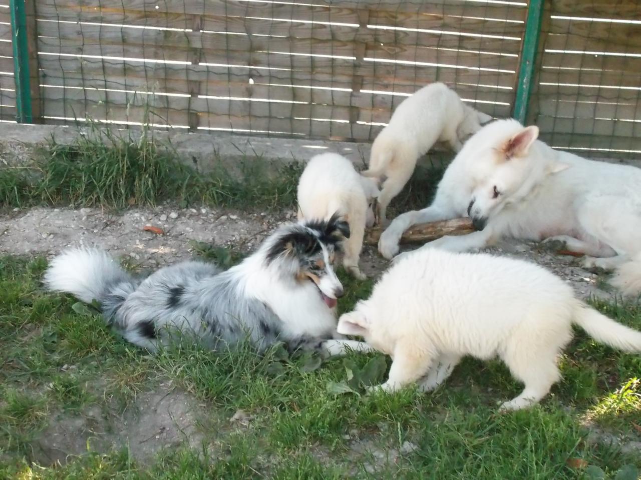 <3