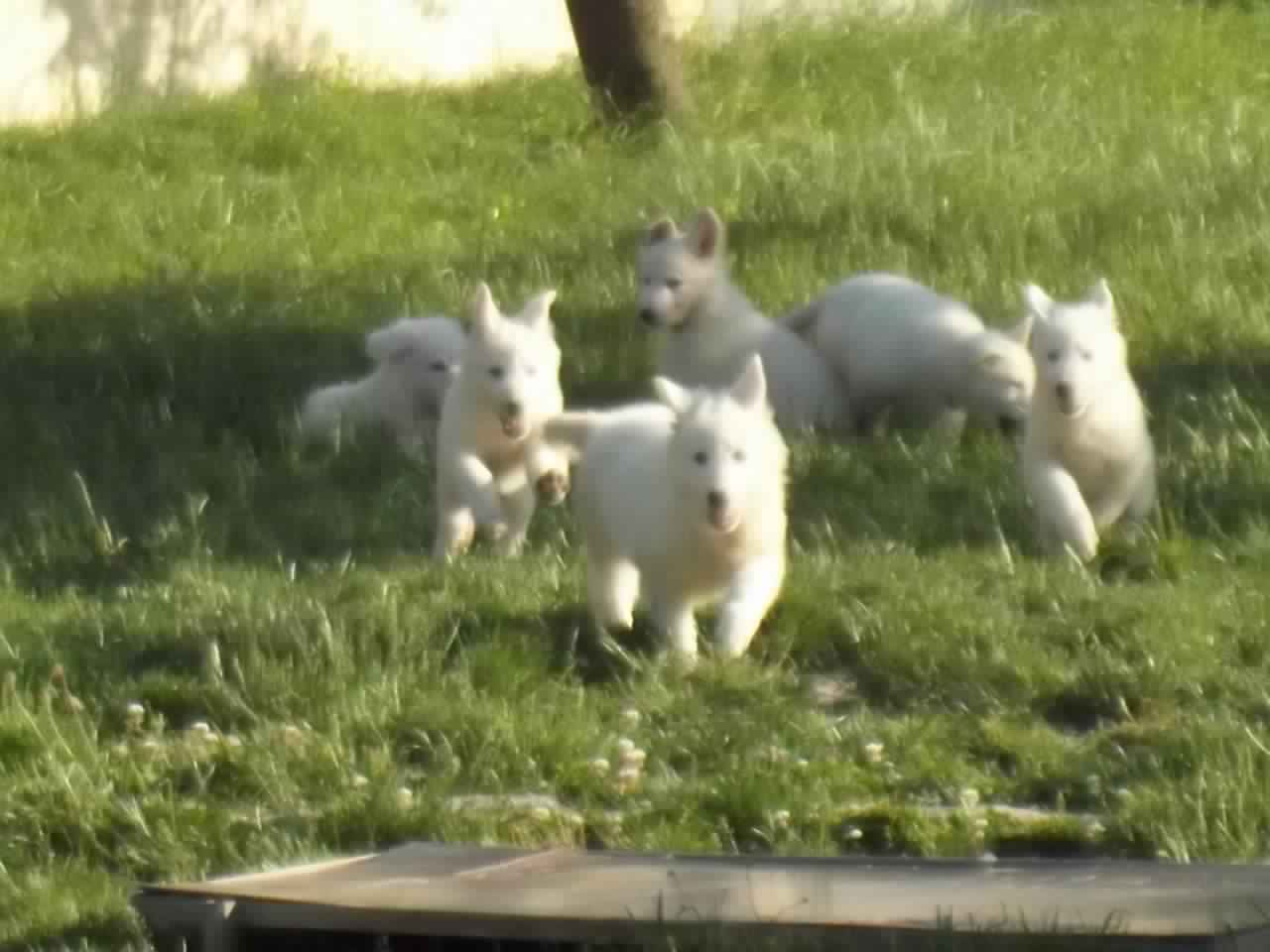 presque 9 semaines <3