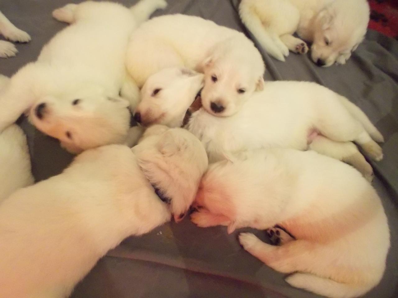 confortable ??