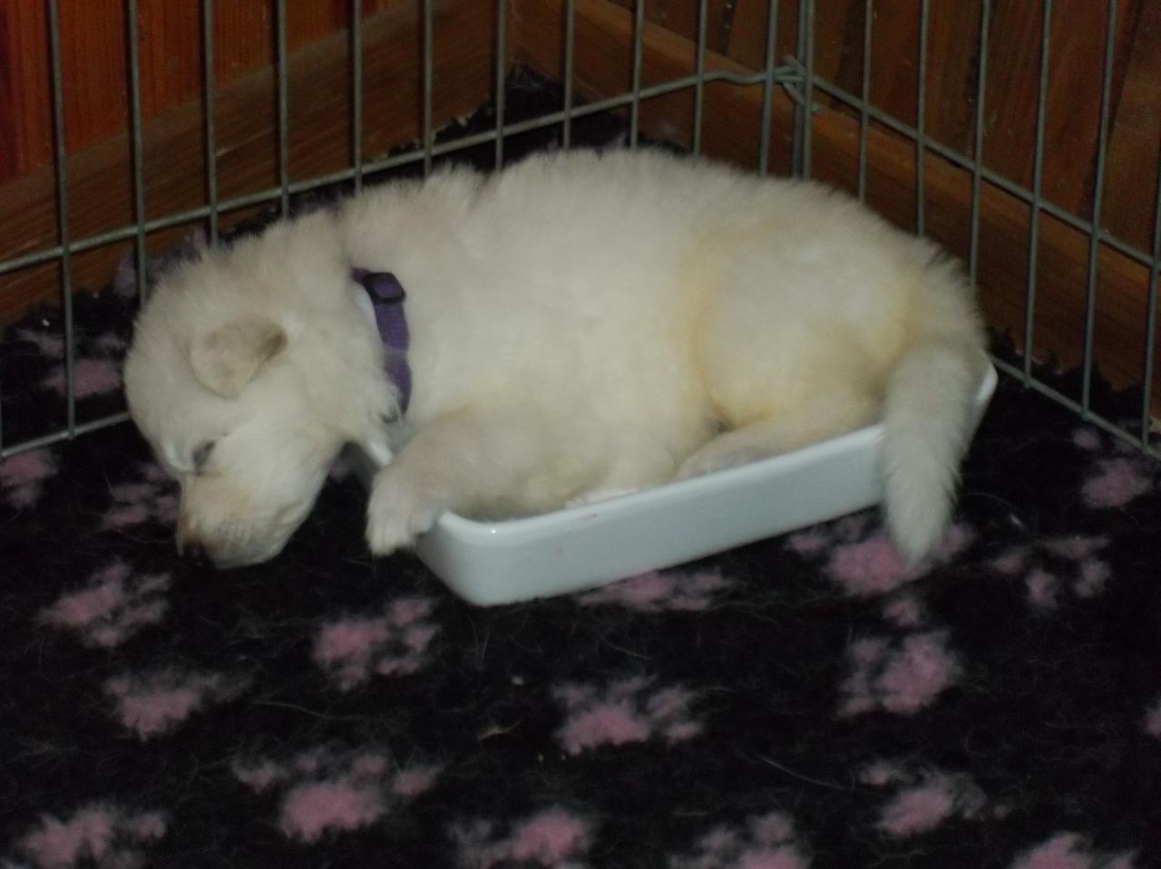 confortable ??