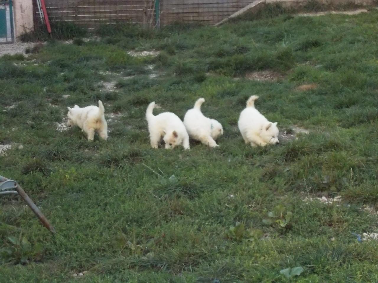 <3