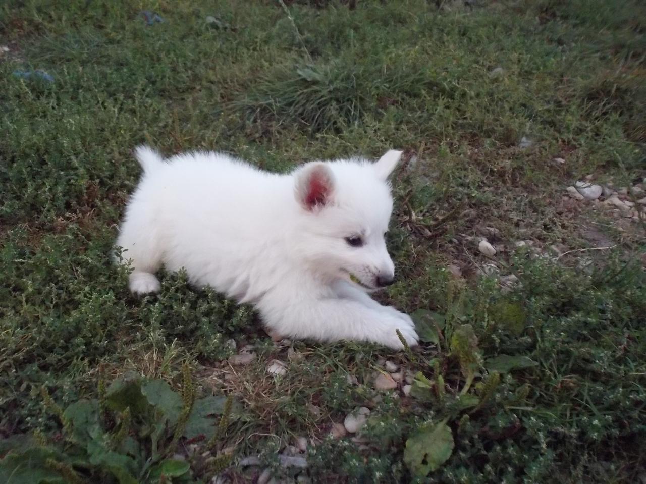 <3