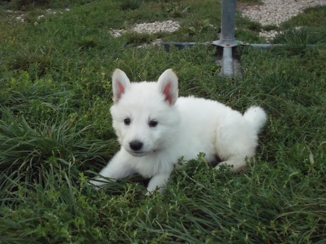 <3