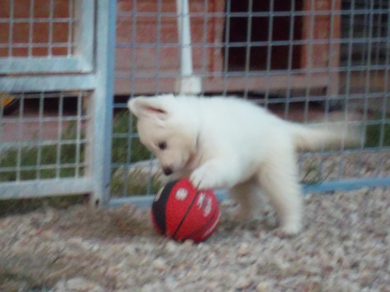 un futur sportif