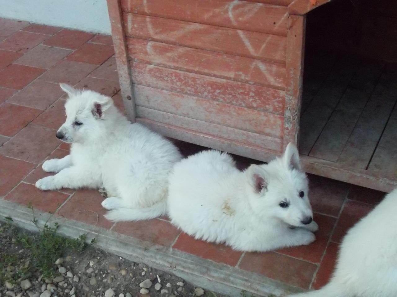 à la sieste