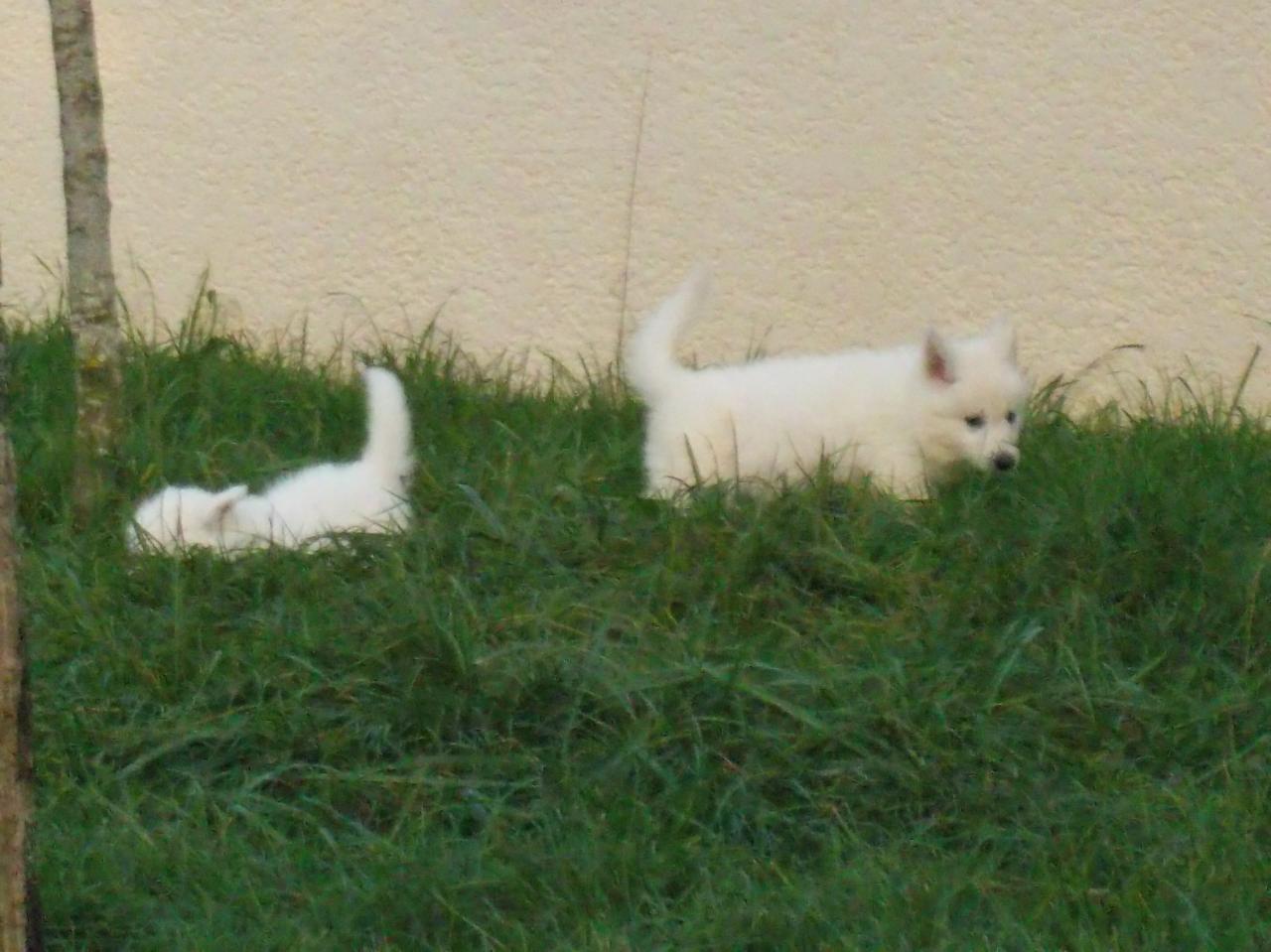 <3