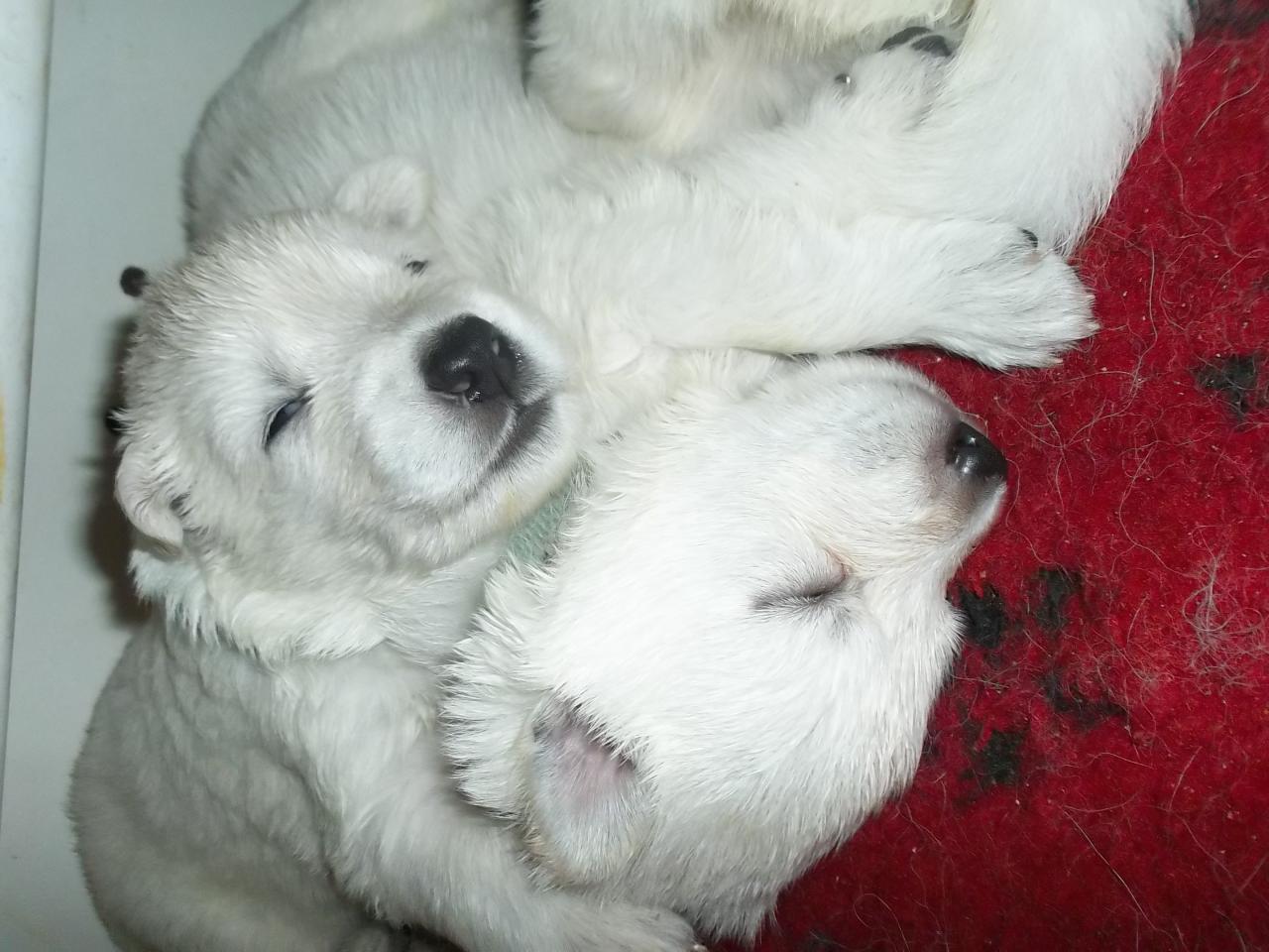 confortable