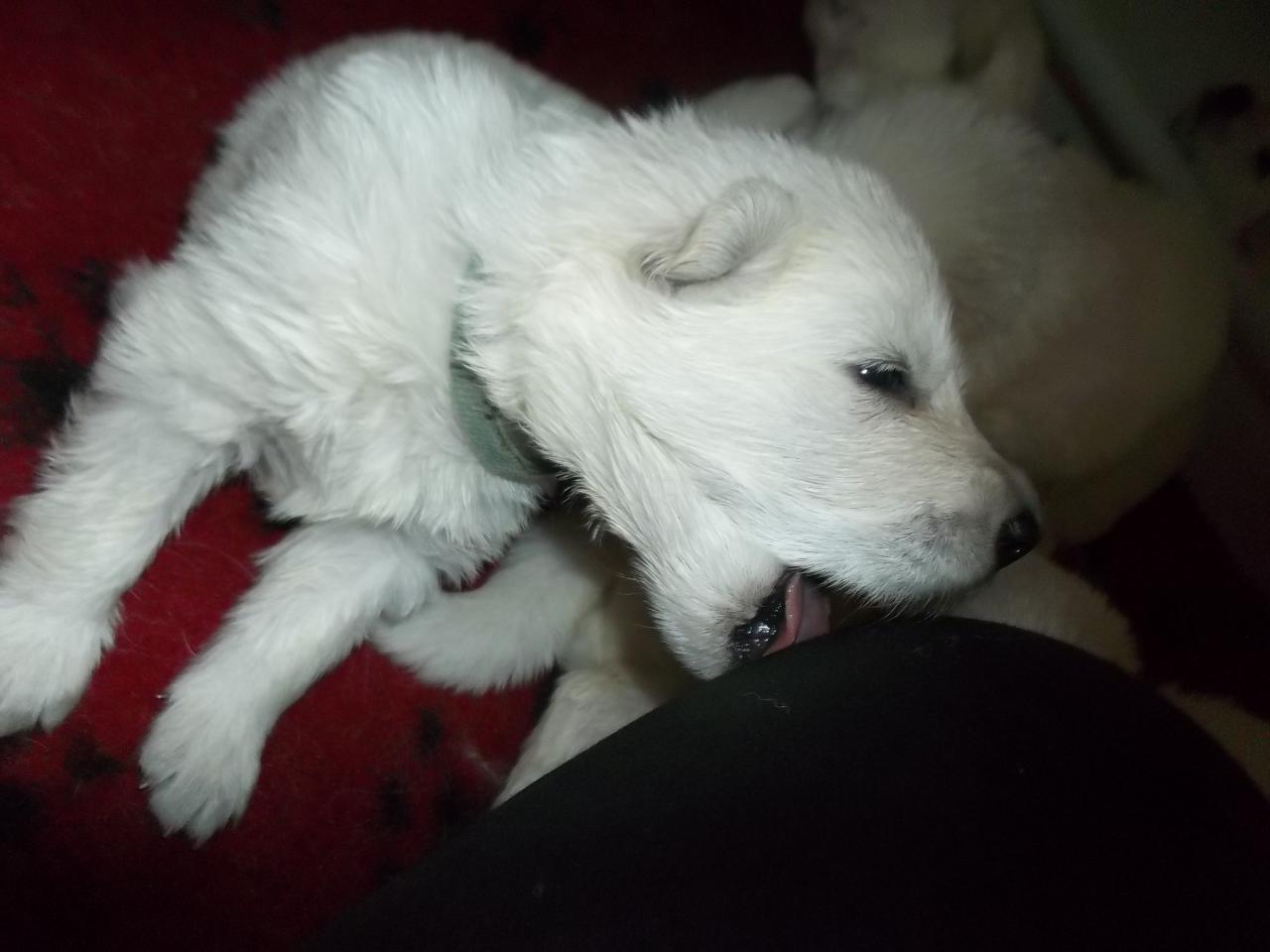 miiiam !