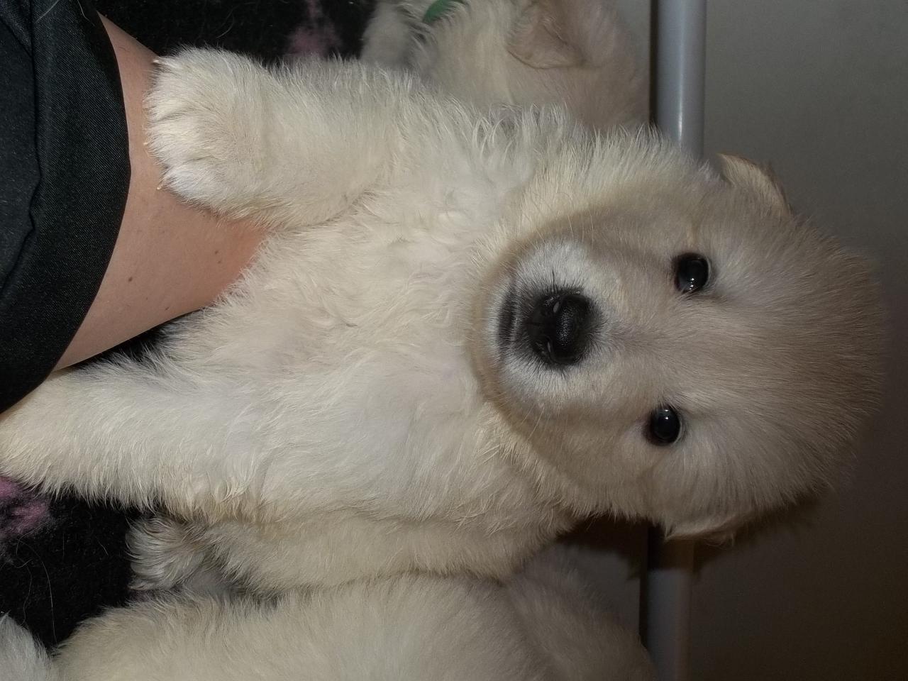 <3