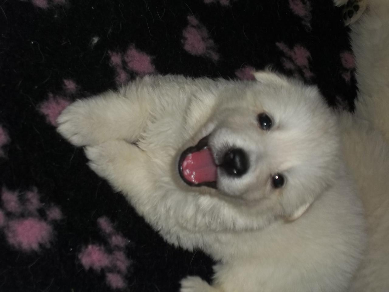 4 semaines <3