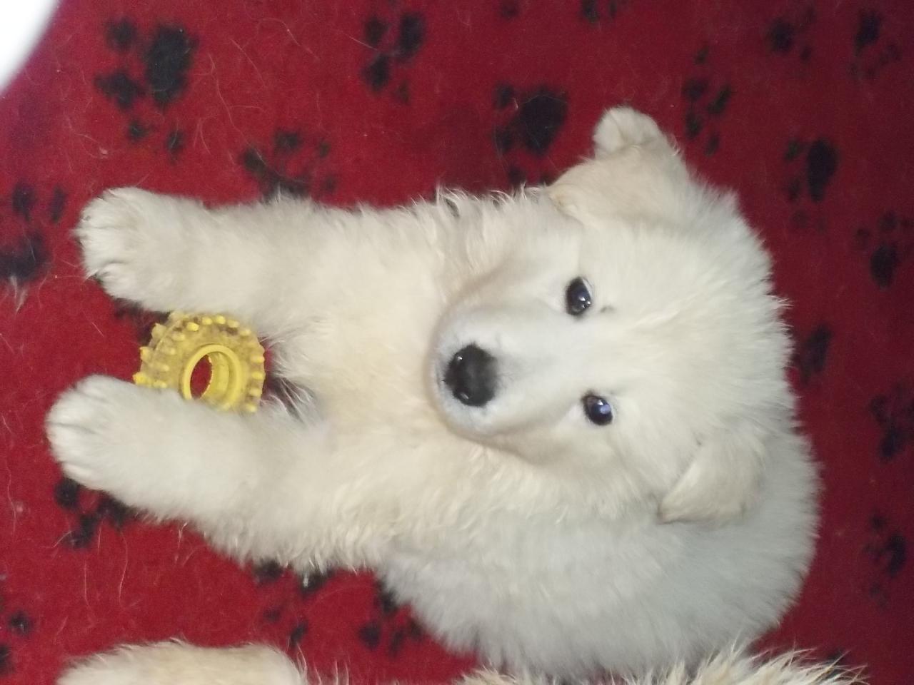 <3