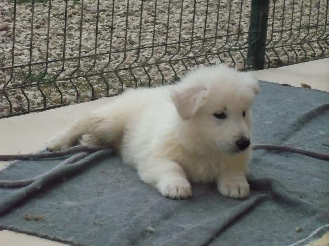 <3