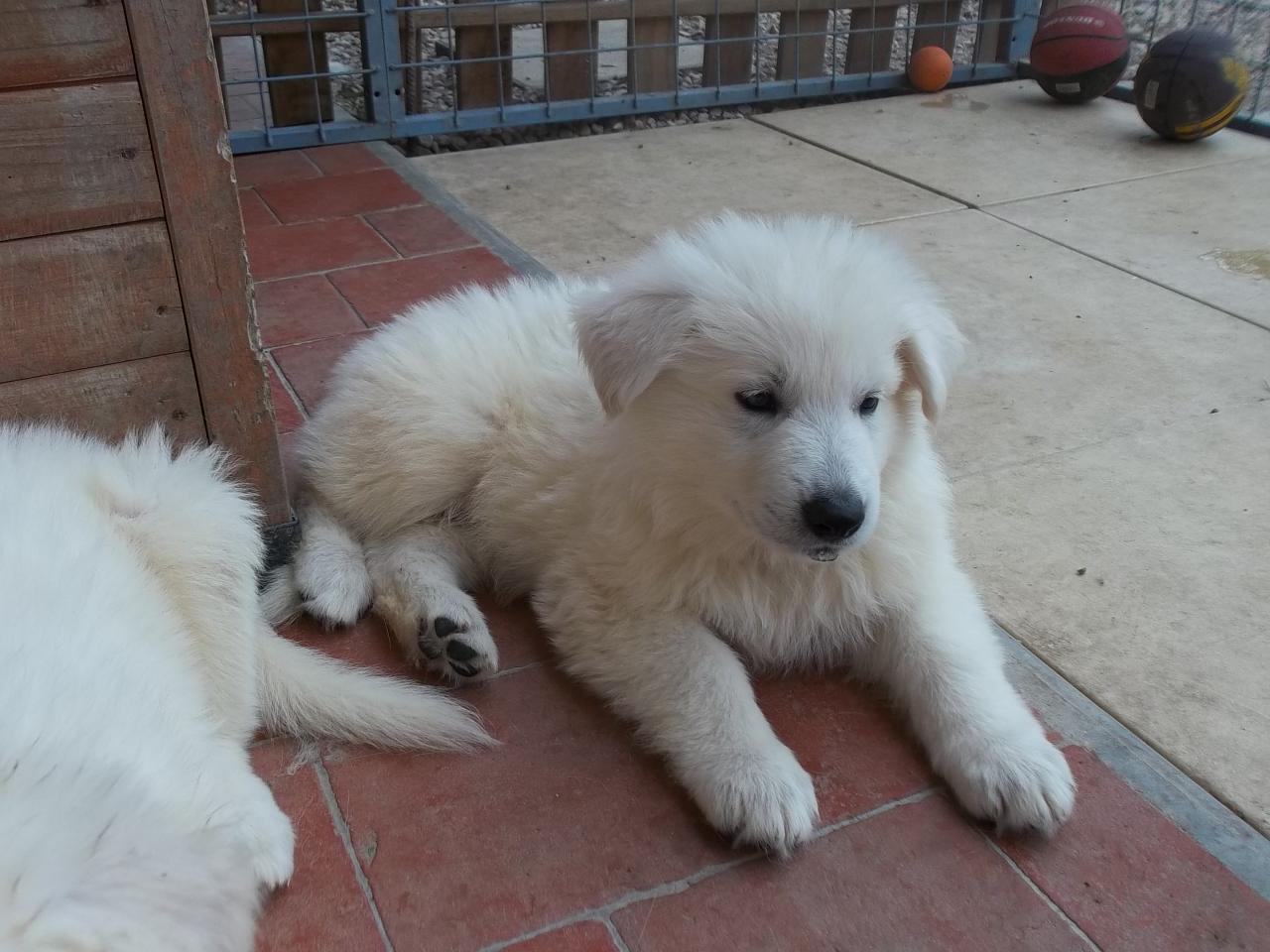 <3
