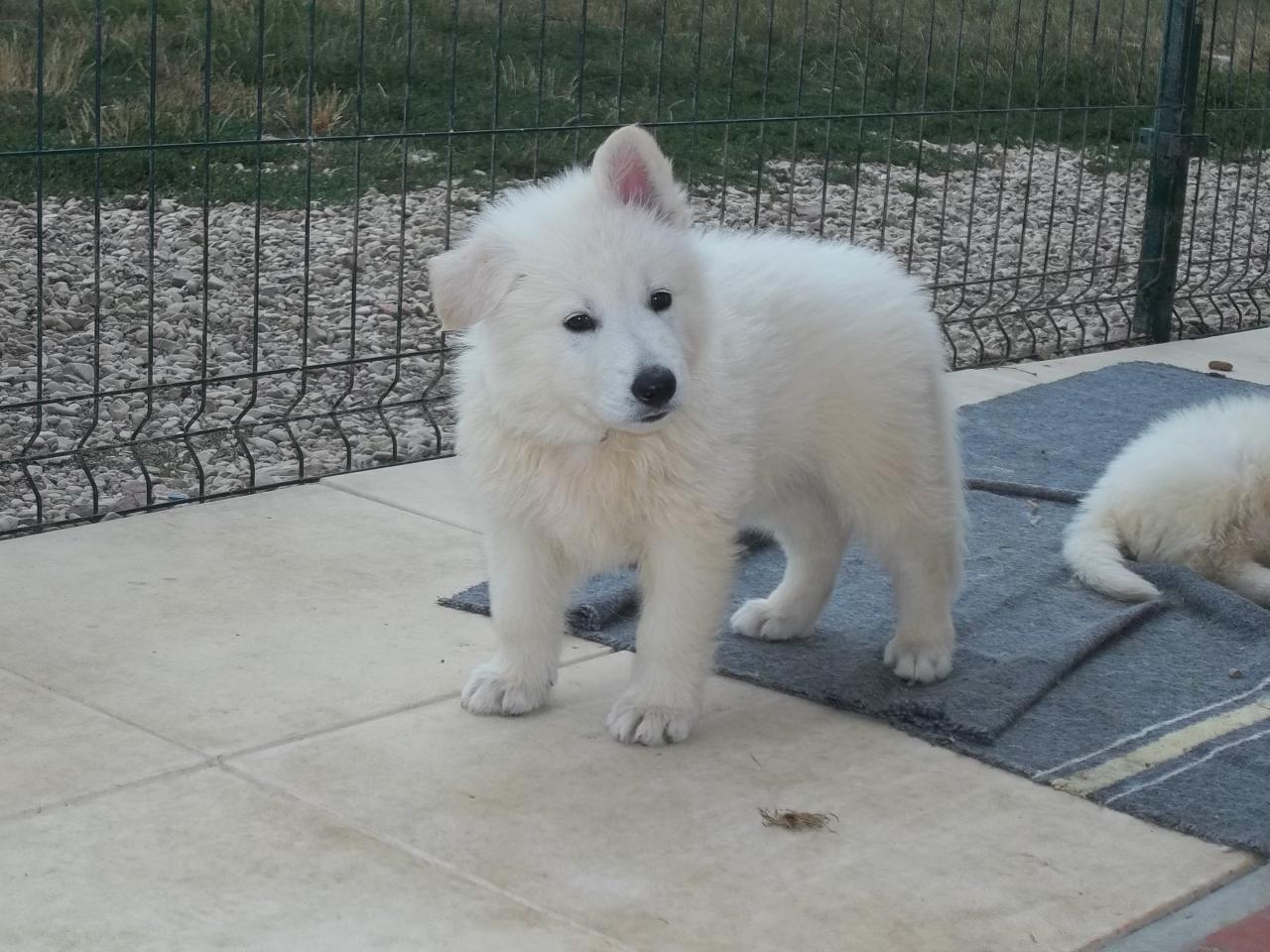 je pose !!