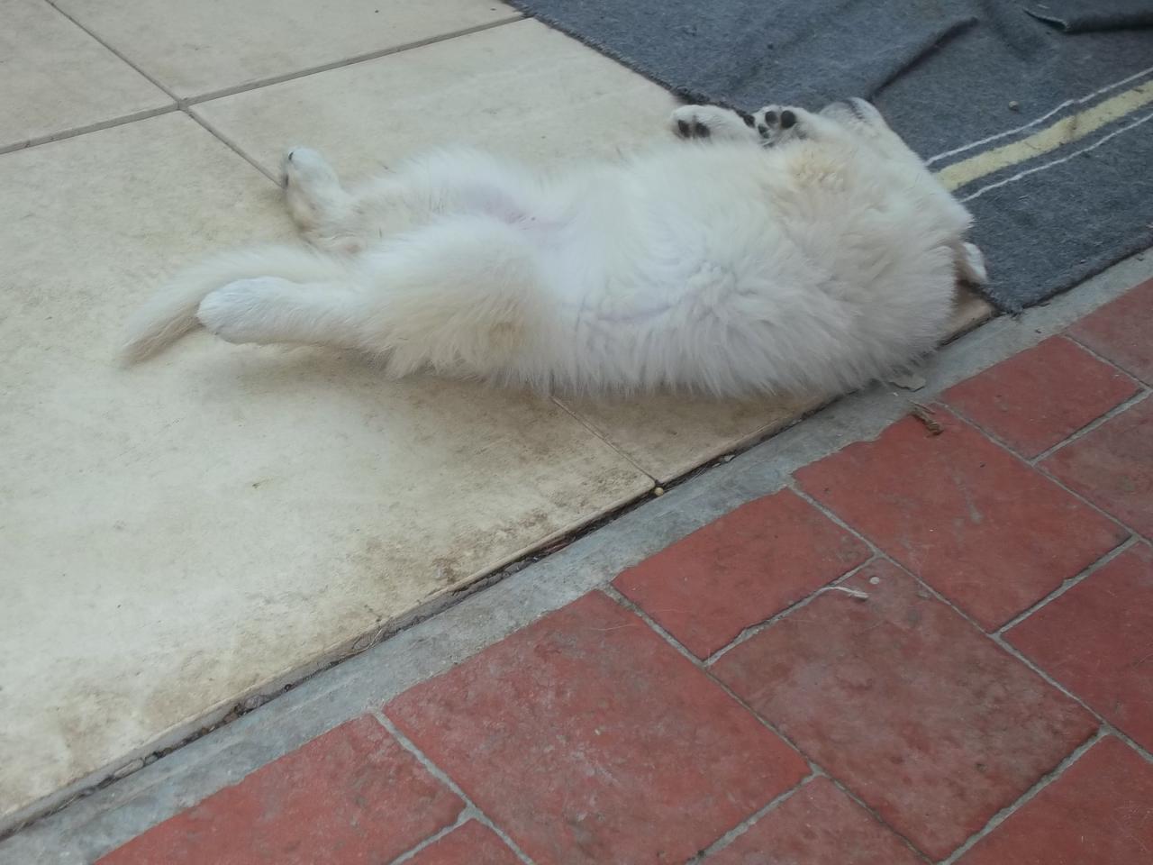 détenduuu