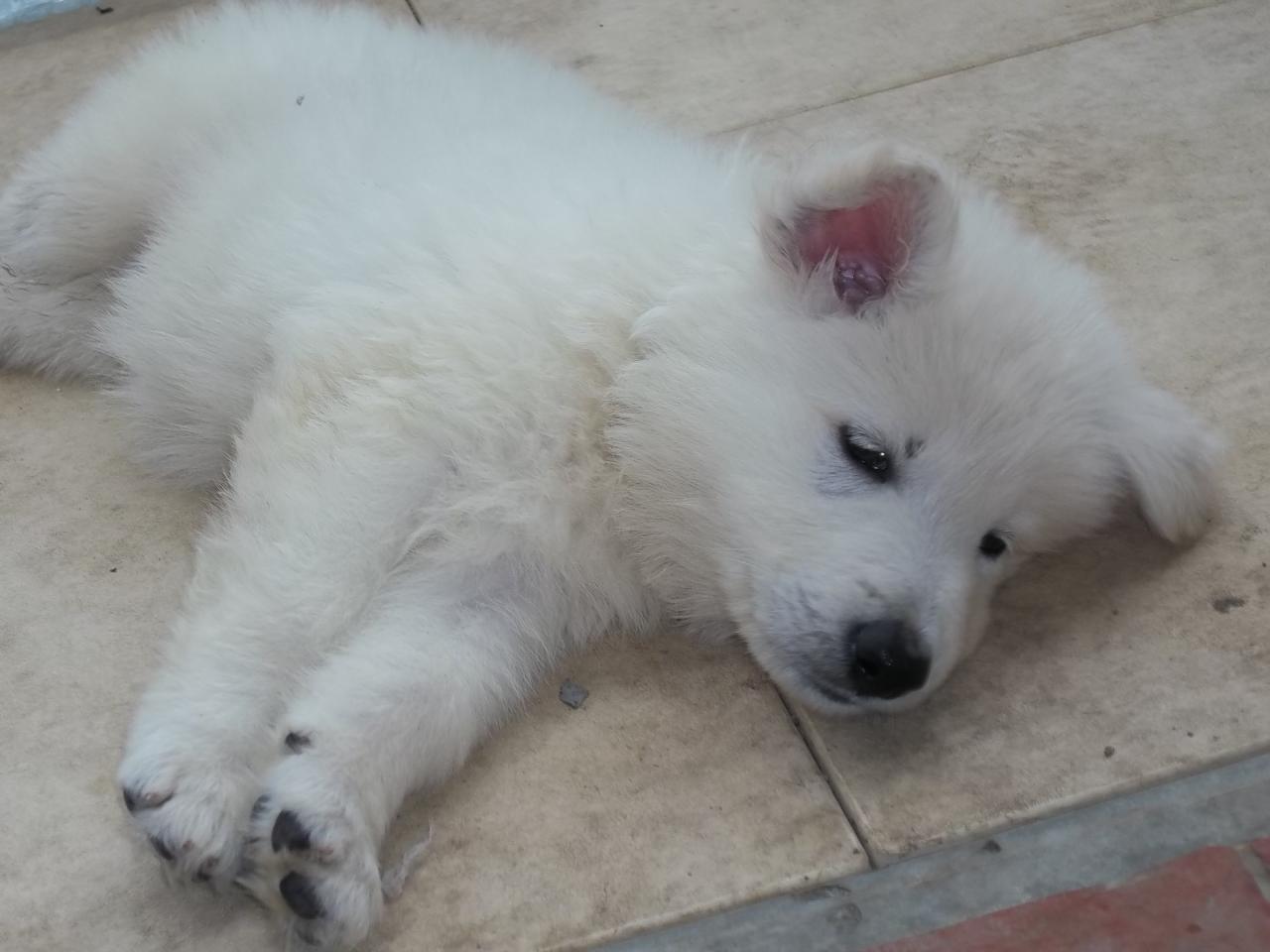 repos