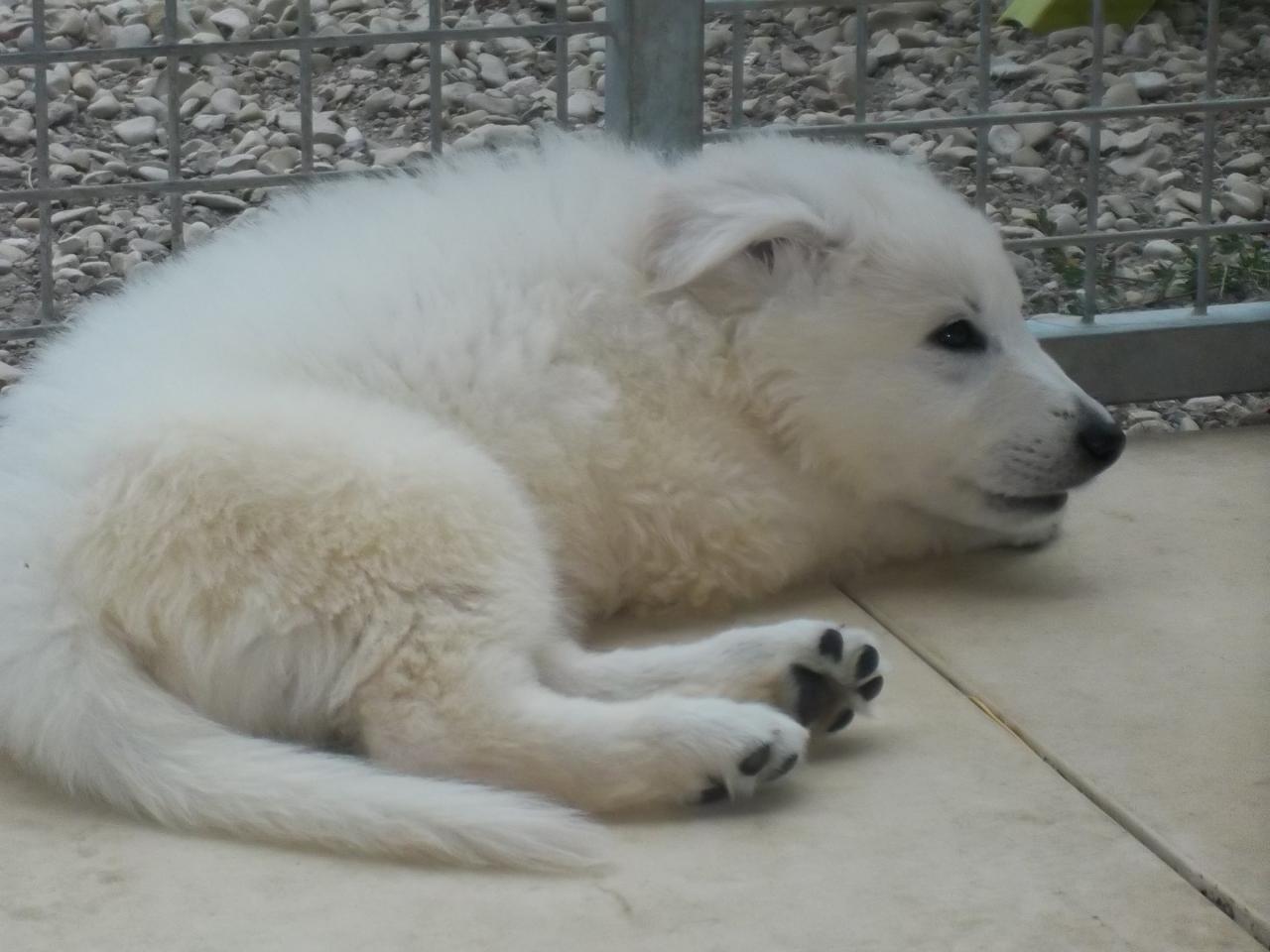 <3