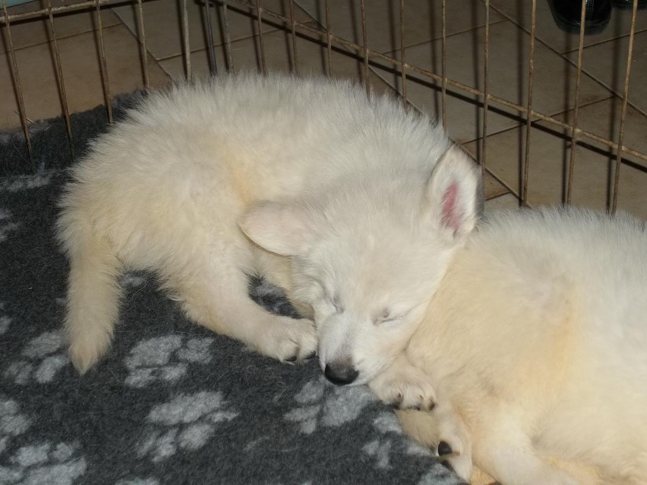 fatigué