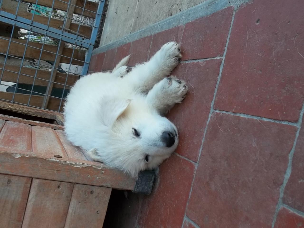repos