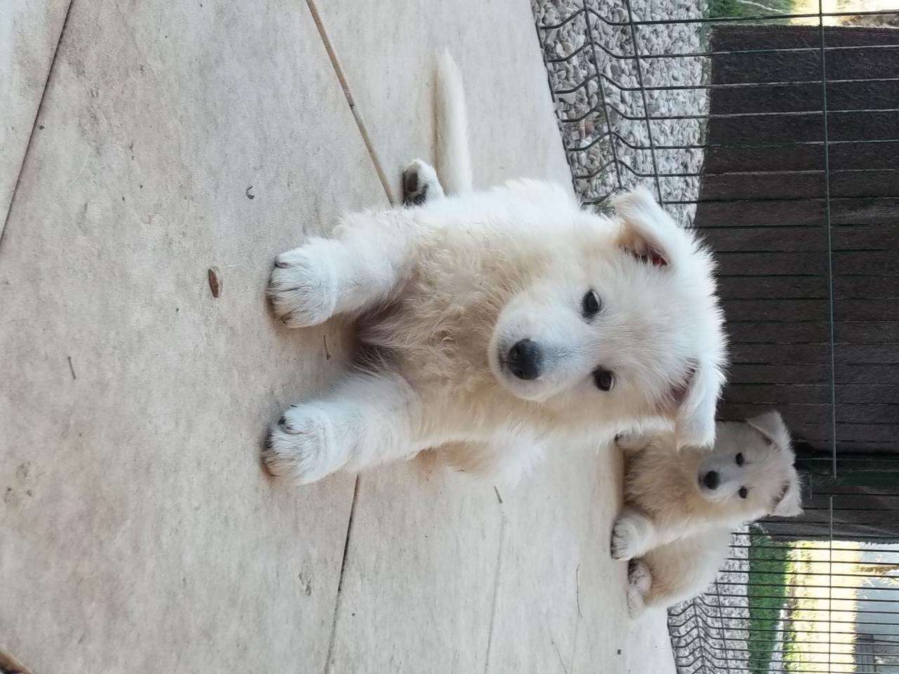 <3