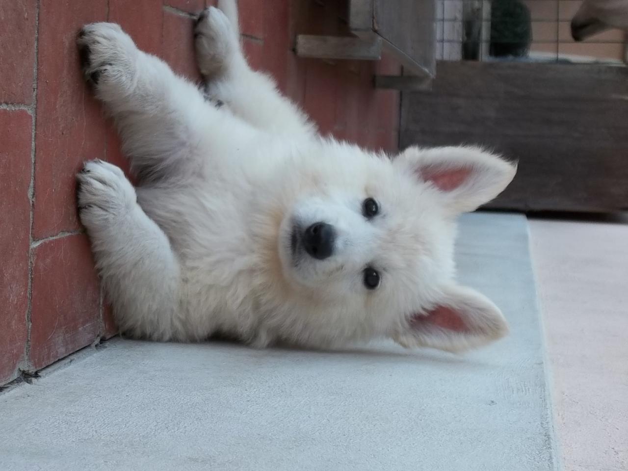 <3