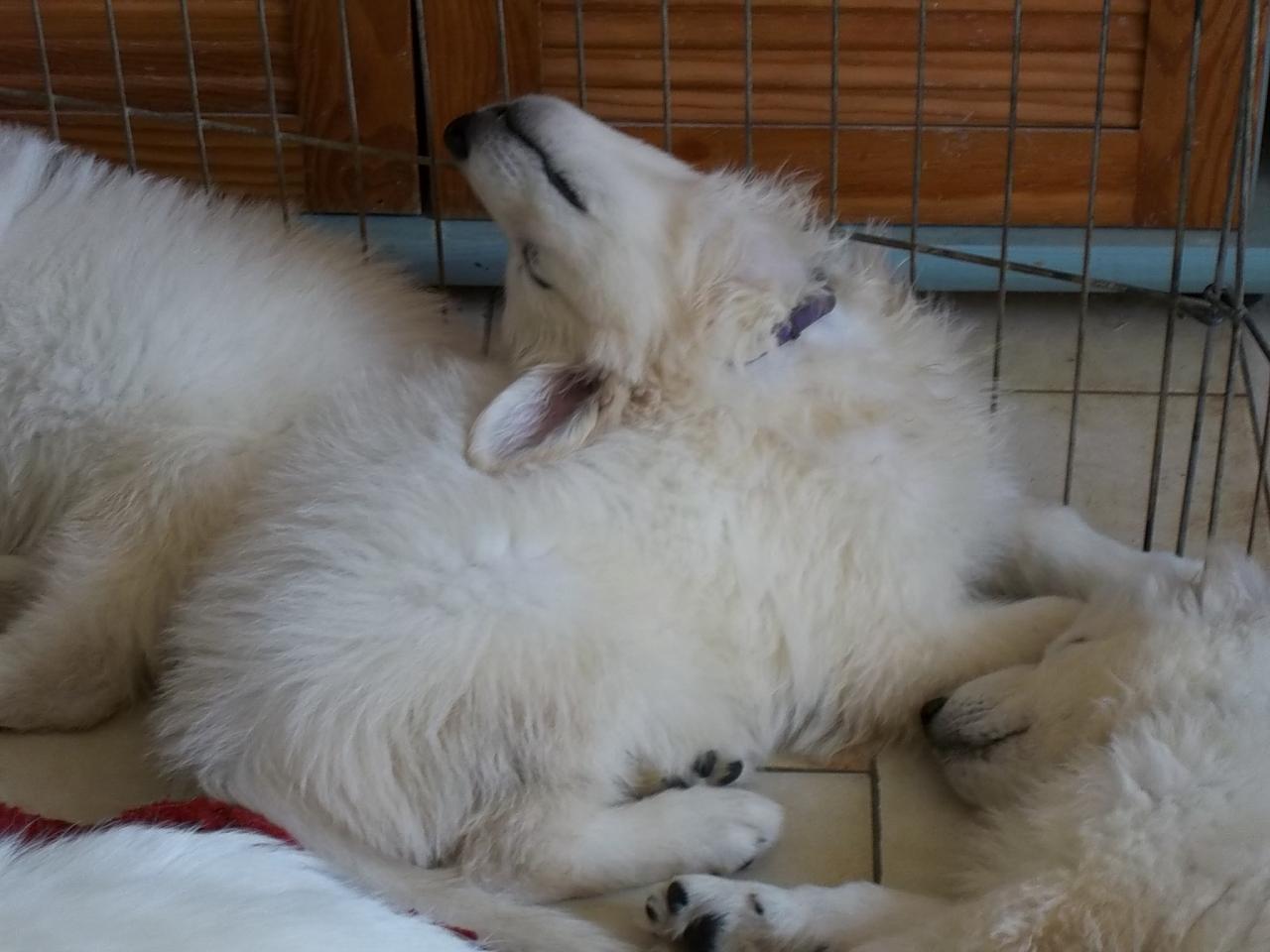 drole de position