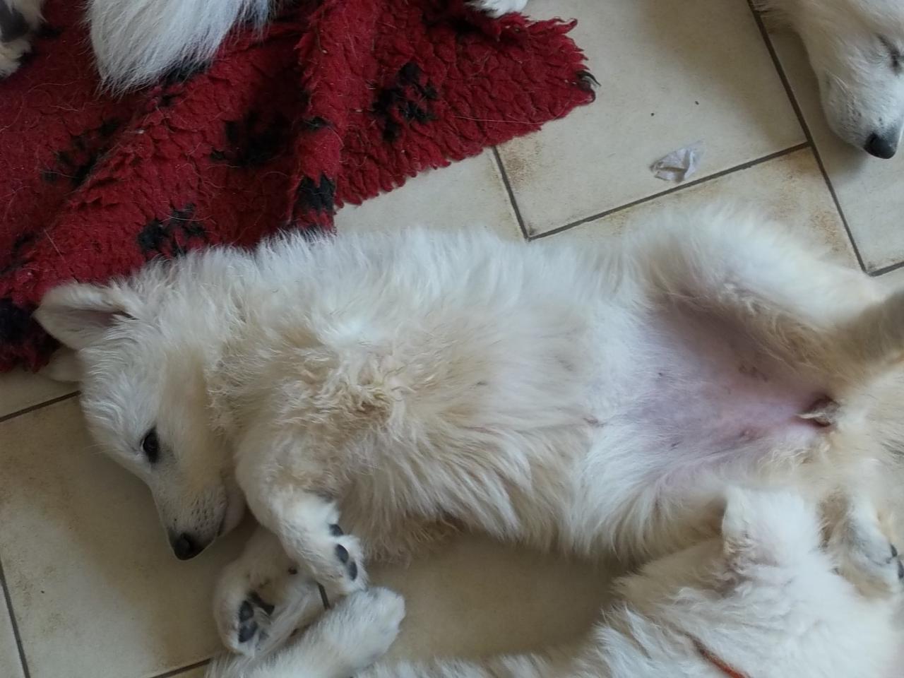 détendu