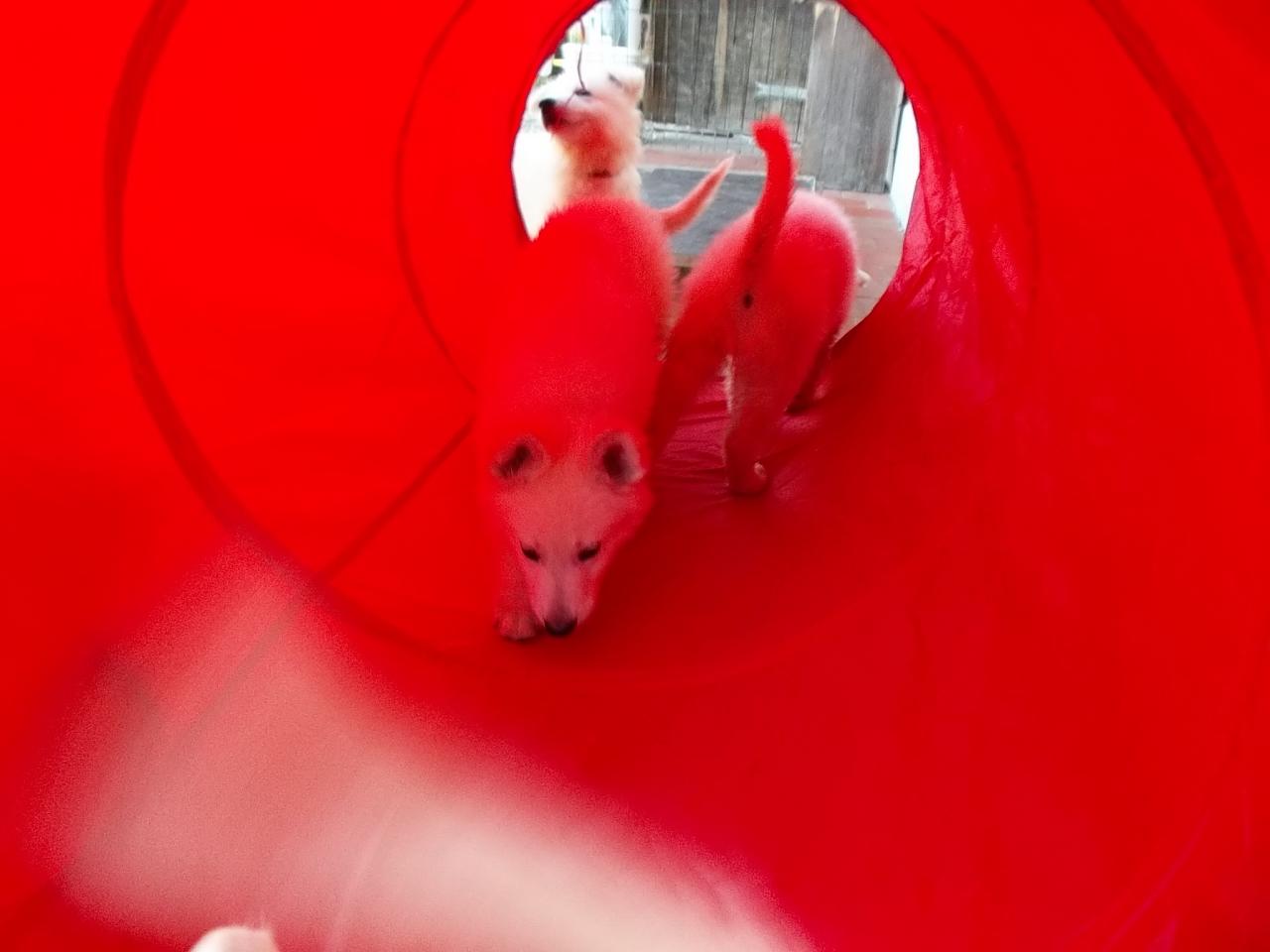 aventure dans le tunnel