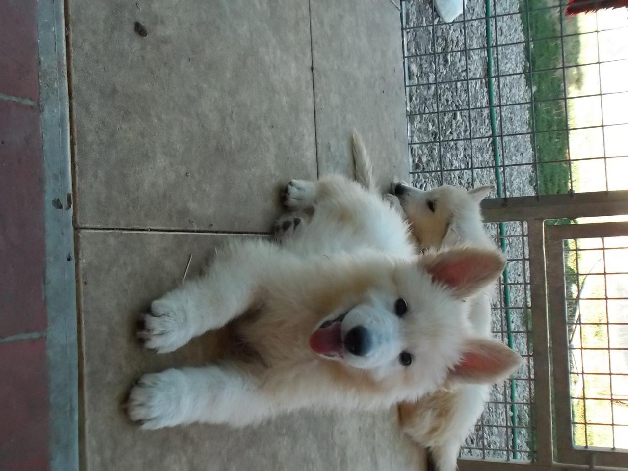 <3