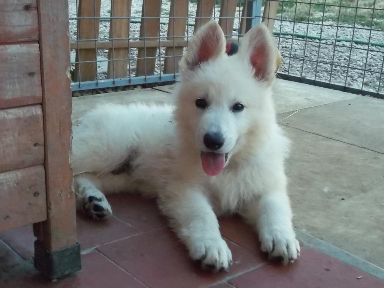 <3
