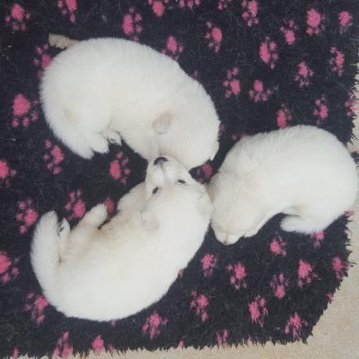 un petite sieste