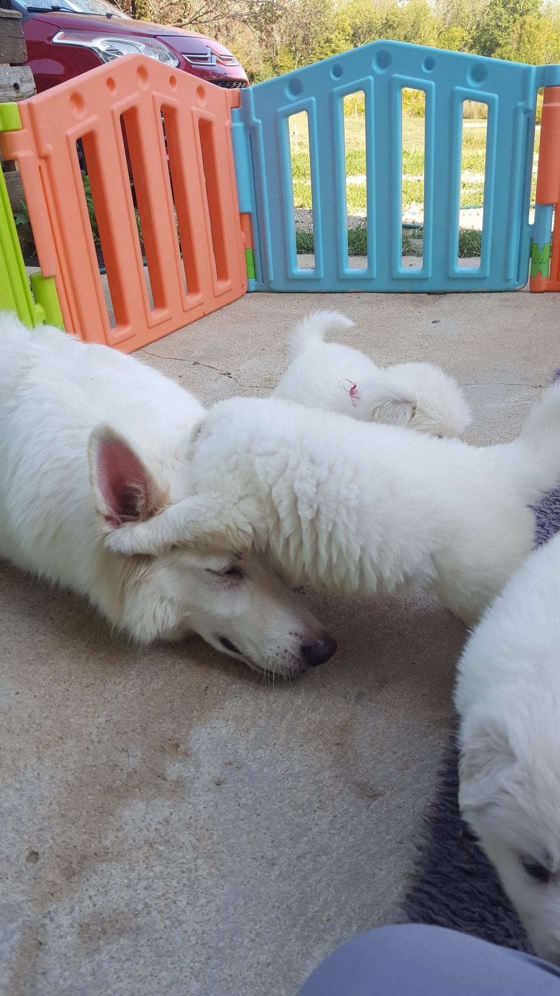à l'attaque de maman !