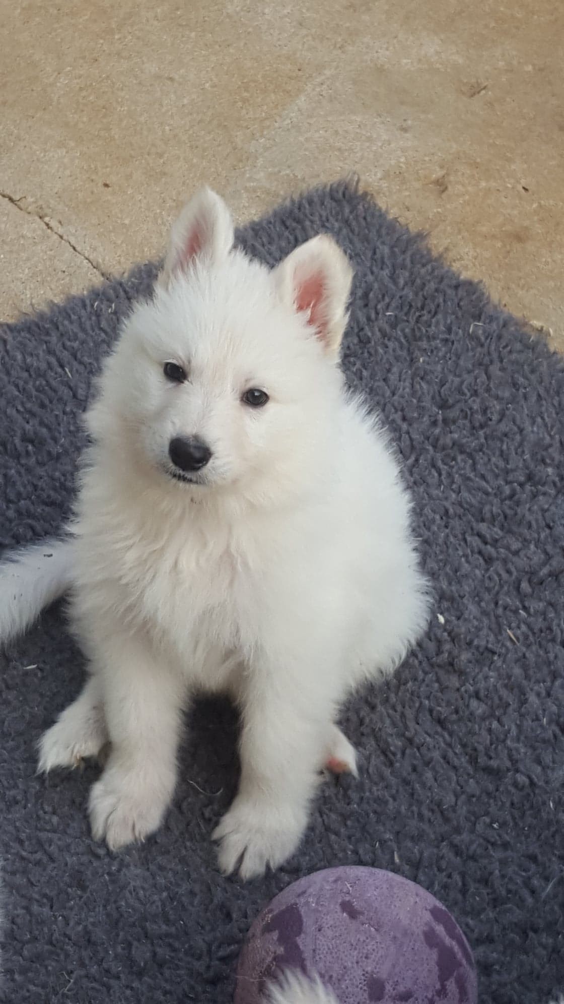 je pose !