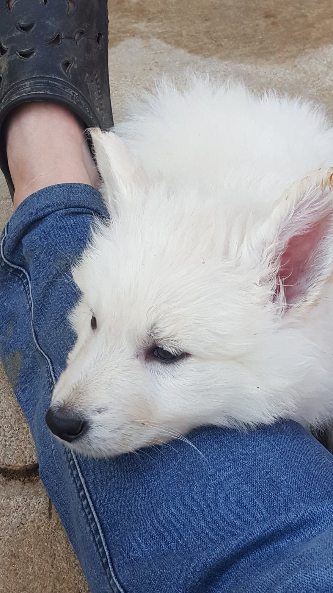 trop fatiguant 