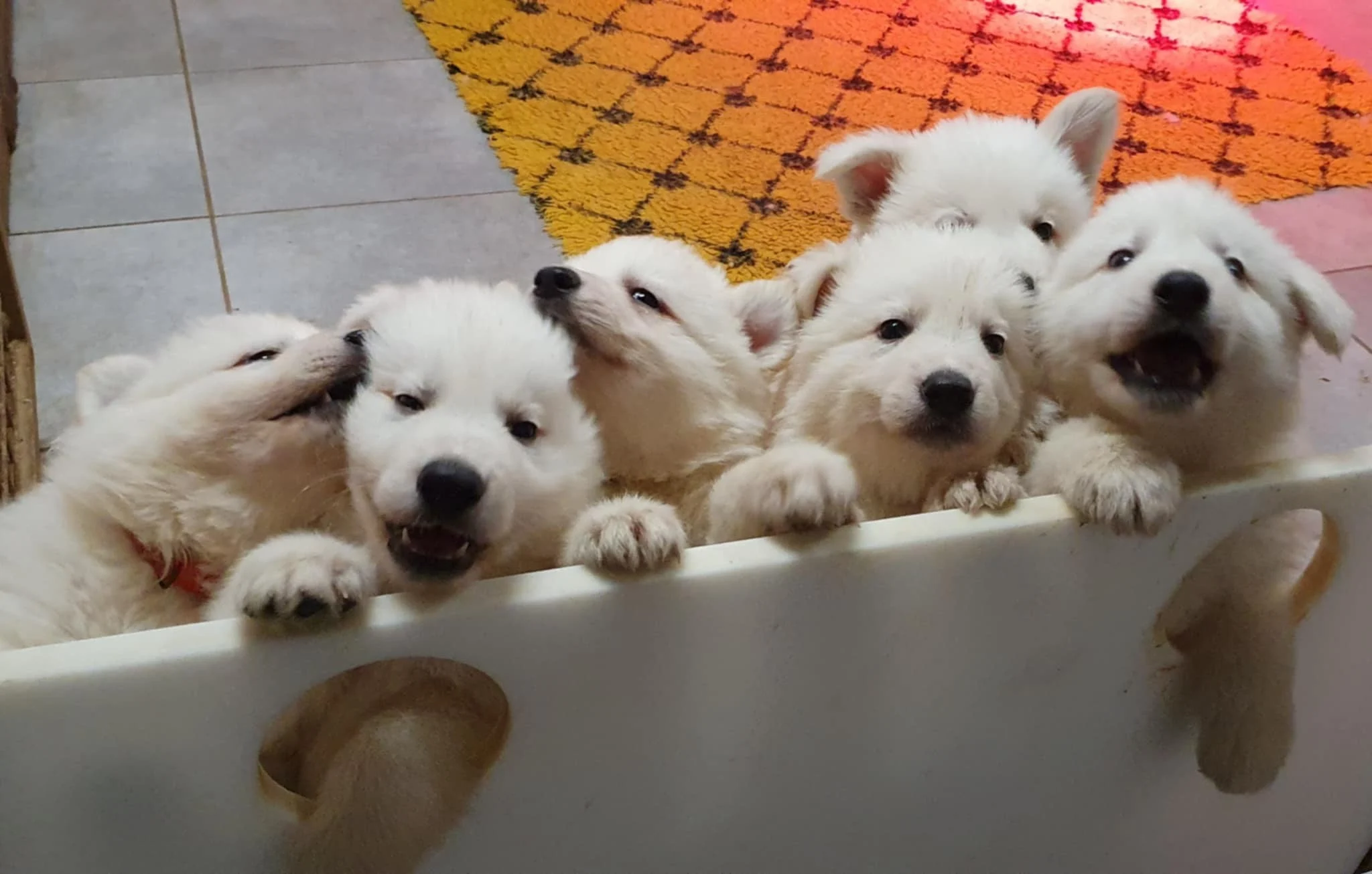 aller ouvre tu fera tes photos plus tard !!