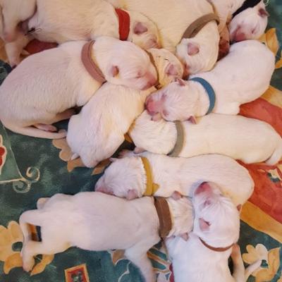 les bébés leur 1er jour