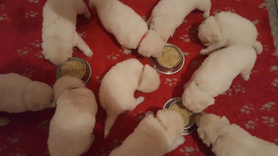 à table !!