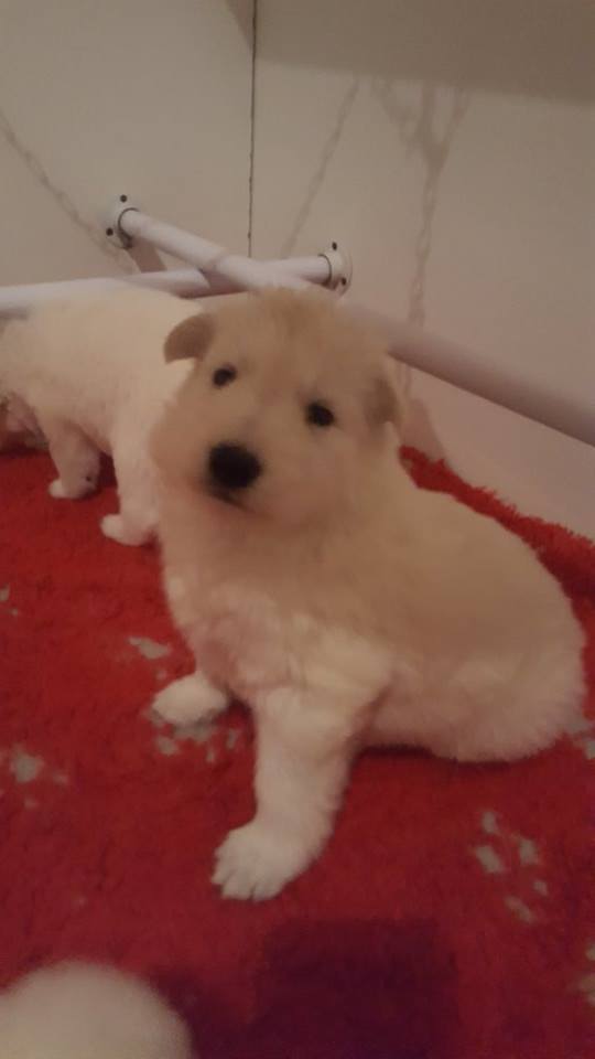 je fais mon beau gosse !