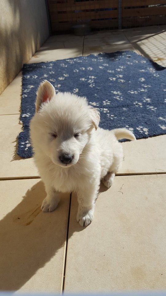 6 semaines , ont est bien au soleil <3